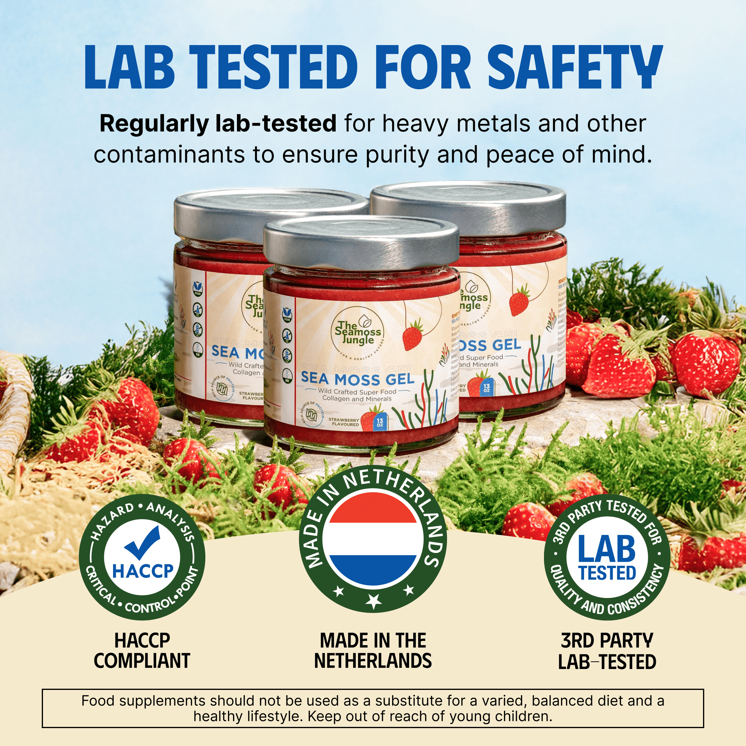 Sea Moss Gel – Aardbei
