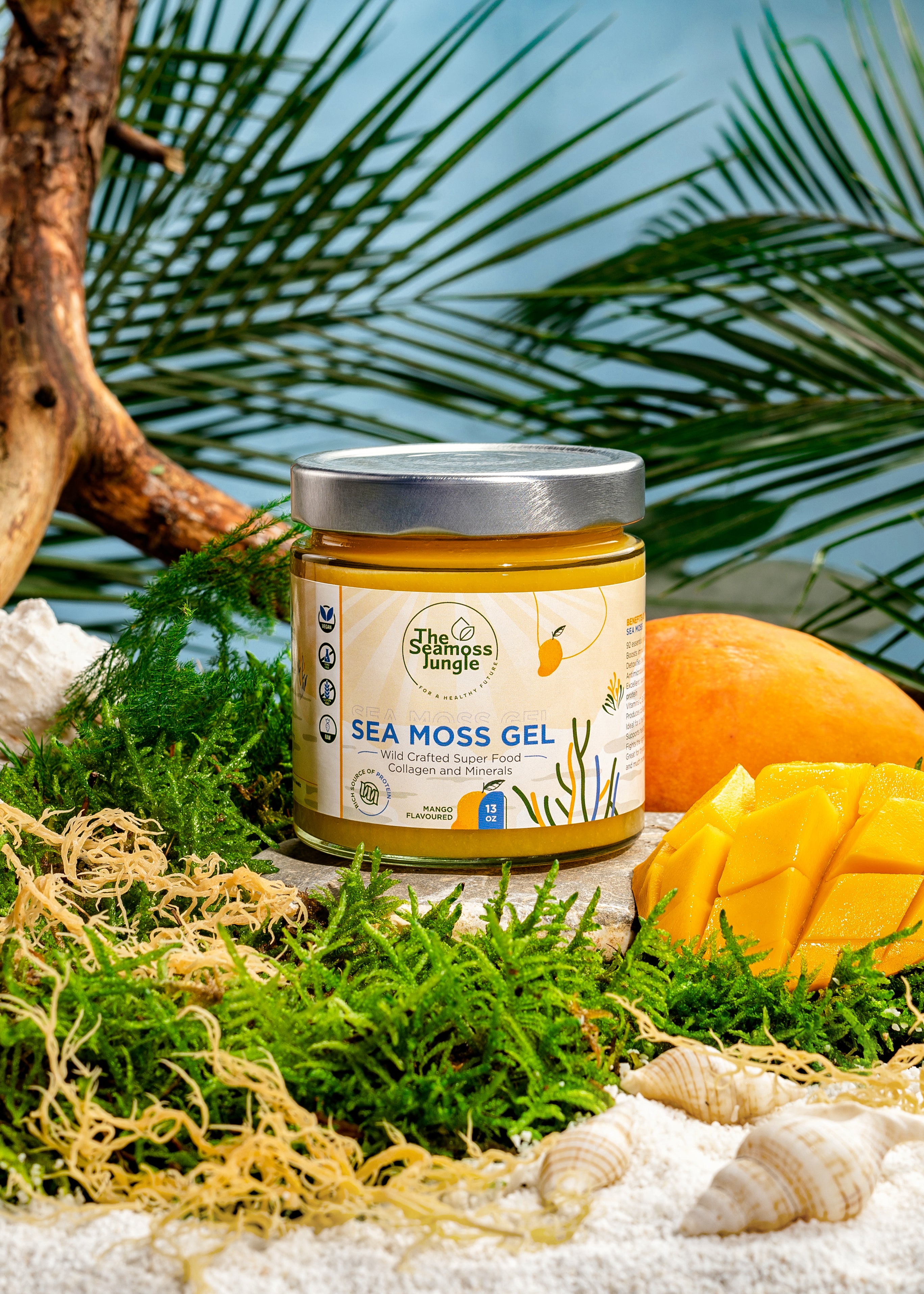 Sea Moss Gel - Familiebundel