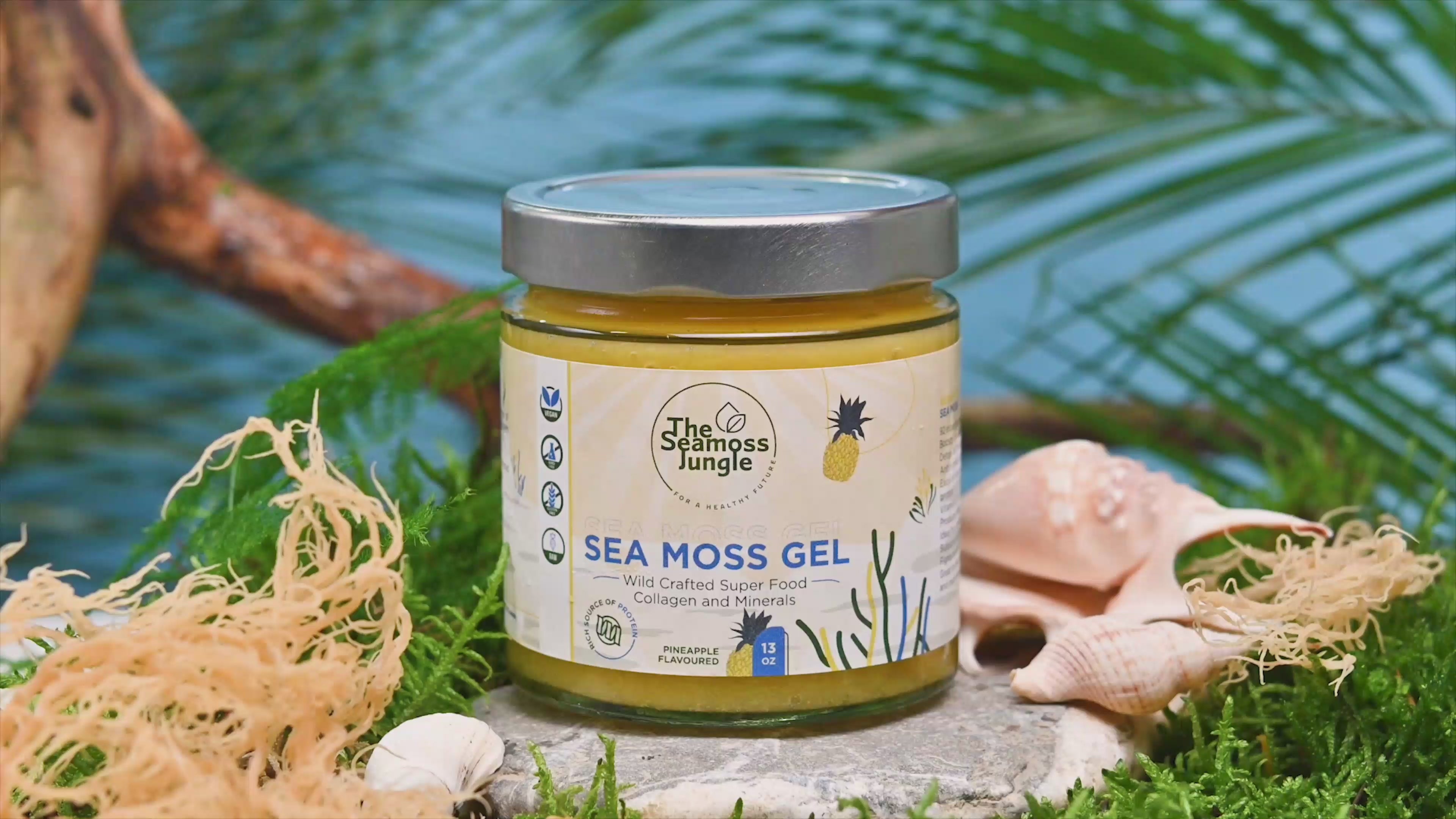 Assortiment Sea Moss Gels, wildcrafted, organisch, glutenvrij, vegan.